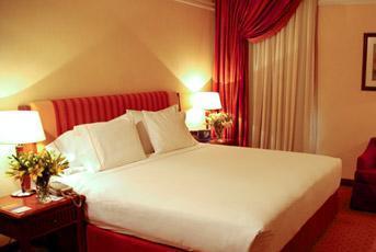 Sheraton & Towers Hotel 5*